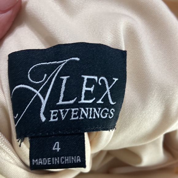 Alex Evenings Illusion Sleeve Embroidered Midi Dress in Taupe Size 4 - Picture 8 of 9